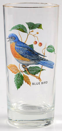 American Songbirds 13 Oz Flat Tumbler