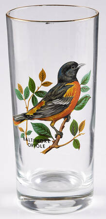 American Songbirds 13 Oz Flat Tumbler