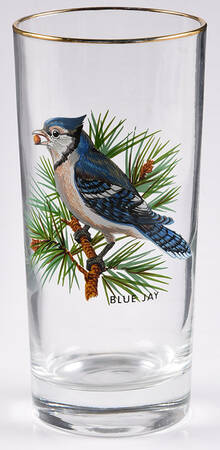 American Songbirds 13 Oz Flat Tumbler
