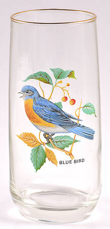 American Songbirds 18 Oz Flat Tumbler