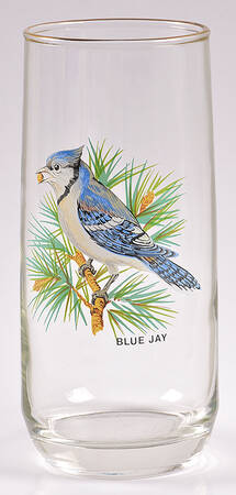 American Songbirds 18 Oz Flat Tumbler