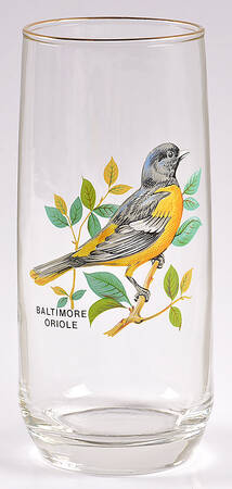 American Songbirds 18 Oz Flat Tumbler