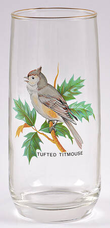 American Songbirds 18 Oz Flat Tumbler