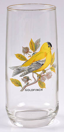 American Songbirds 18 Oz Flat Tumbler