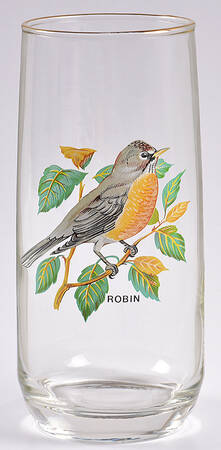 American Songbirds 18 Oz Flat Tumbler