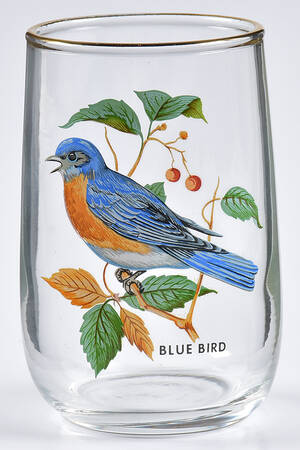 American Songbirds 5 Oz Flat Tumbler