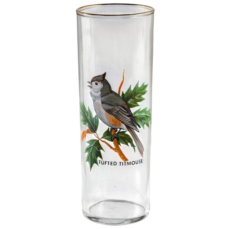 American Songbirds 12 Oz Flat Tumbler