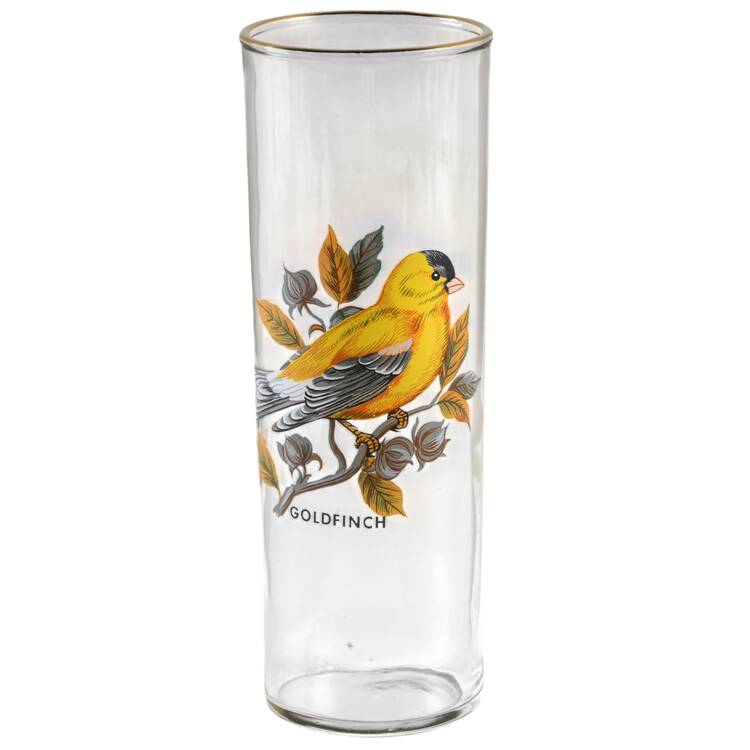American Songbirds 12 Oz Flat Tumbler
