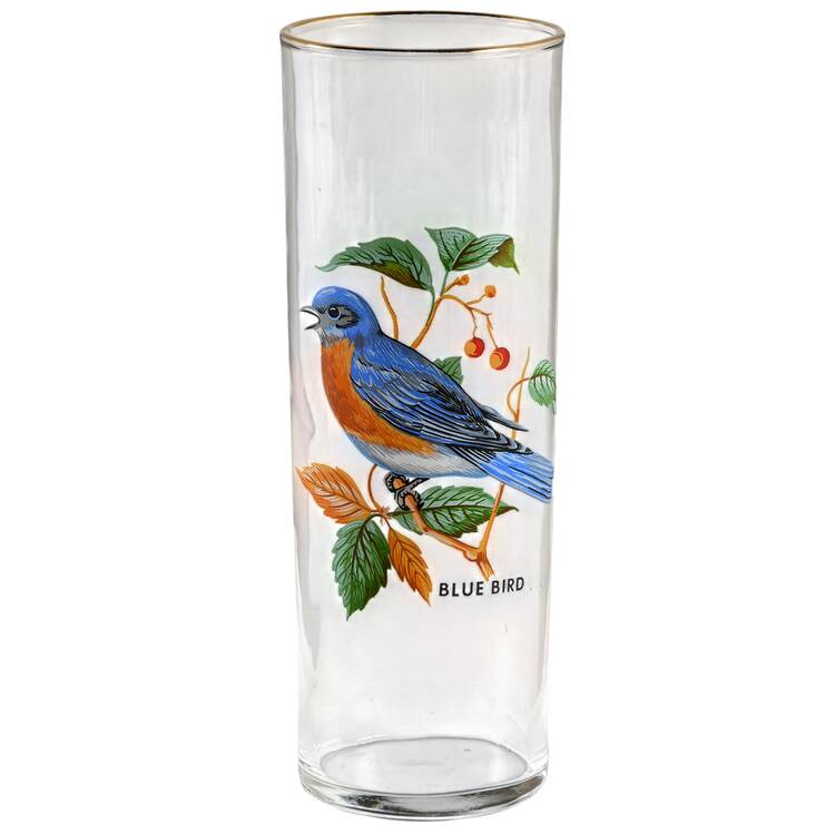 American Songbirds 12 Oz Flat Tumbler