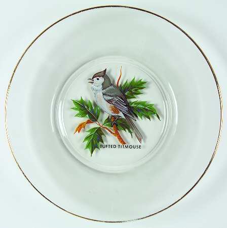 American Songbirds Luncheon Plate