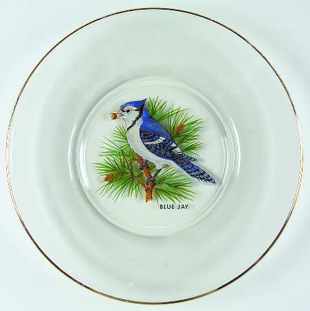American Songbirds Luncheon Plate