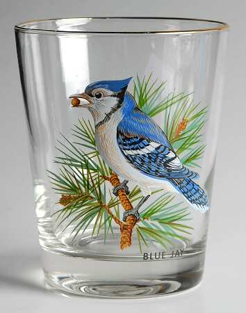 American Songbirds 16 Oz Flat Tumbler