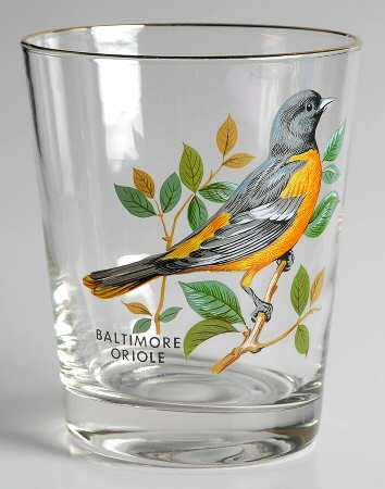 American Songbirds 16 Oz Flat Tumbler