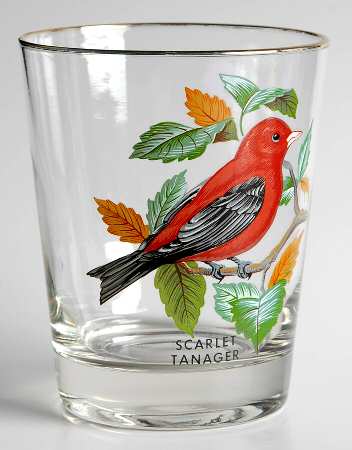 American Songbirds 16 Oz Flat Tumbler