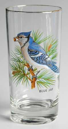 American Songbirds 12 Oz Flat Tumbler