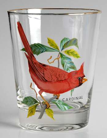 American Songbirds 16 Oz Flat Tumbler
