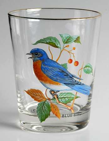 American Songbirds 16 Oz Flat Tumbler