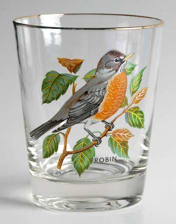 American Songbirds 16 Oz Flat Tumbler