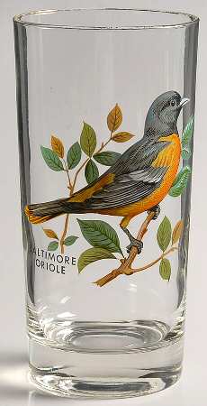 American Songbirds 12 Oz Flat Tumbler