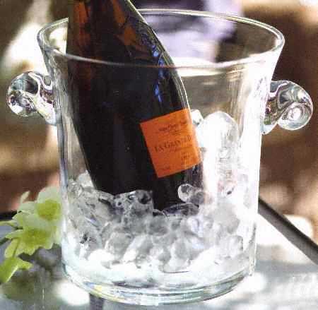 Vintage Garden Ice Bucket