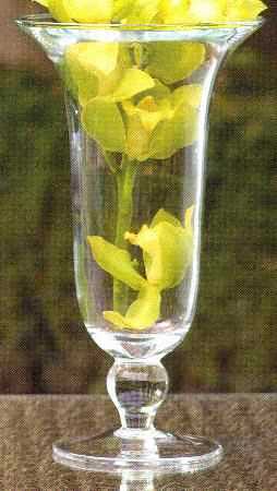 Vintage Garden 12" Footed Vase