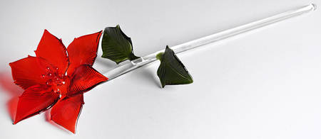 Fleurology Poinsettia Flower by Waterford Crystal