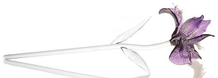 Fleurology Iris Glass Flower by Waterford Crystal
