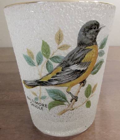American Songbirds Glazed 16 Oz Flat Tumbler