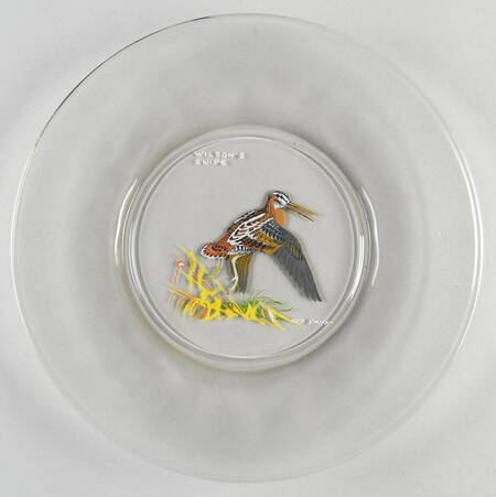 WVG30 8" Salad Plate