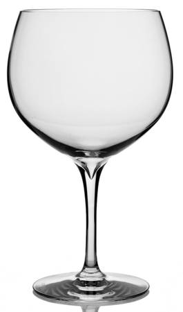 Gin Journeys Balloon Goblet