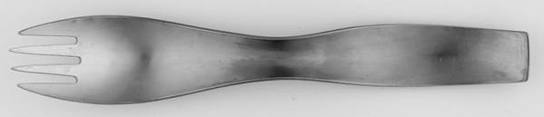 Danube Fork