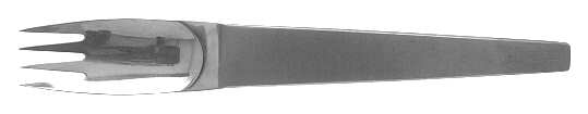 Maestro (Stainless) Fork