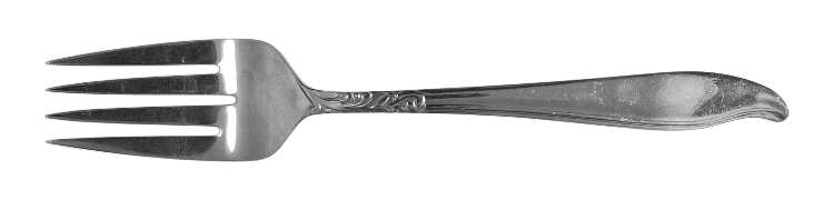 Dignity (Stainless) Individual Salad Fork by Acsons