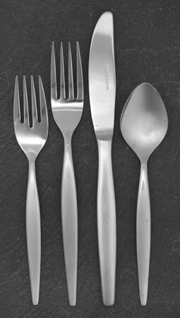Silhouette 4 Piece Place Setting