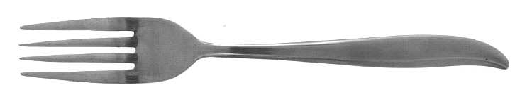 Troy Fork