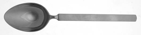 Dry (Stainless) Solid Serving Spoon