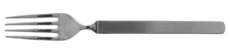 Dry (Stainless) Fork