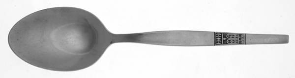 AFS13 (STAINLESS) Tablespoon (Serving Spoon)
