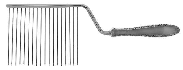 Southern Charm (Sterling, 1947) Cake Breaker with Silverplate Prongs