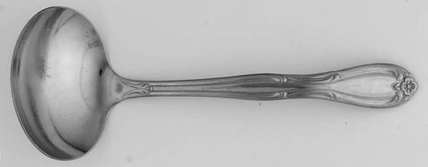 AMP2 (STAINLESS) Solid Gravy Ladle