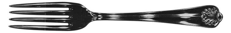 Shell (Stainless) Fork