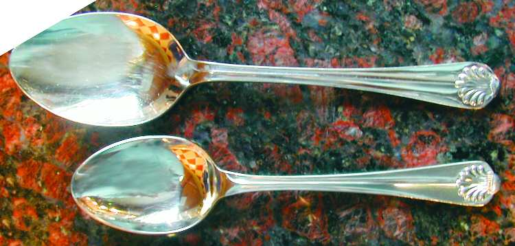 Shell (Stainless) Teaspoon