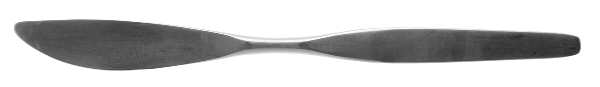 AZN1 (Stainless) Modern Solid Knife