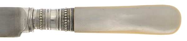 Pearl Handle Flatware 1 by Abbey