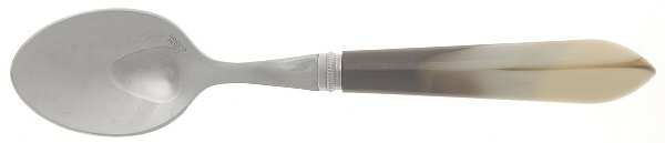 AJN2 (Stainless) Teaspoon