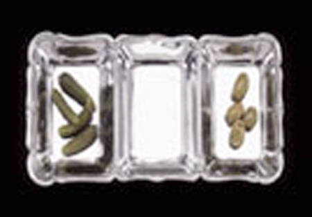 American Traditional (Aluminum, Hollowware) 3 Part Relish