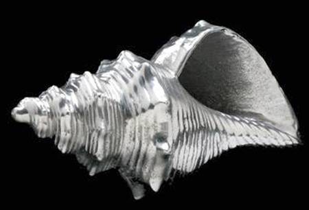 Wonders of the Water (Aluminum, Serveware) Conch Shell