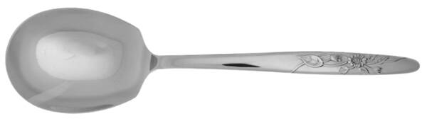 AMK13 (Stainless) Solid Smooth Casserole Spoon