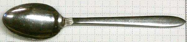 Triton (Stainless) Teaspoon