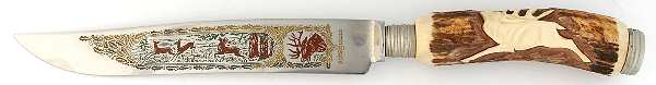 AWJ6 (Stainless) Large Stainless Blade Roast Carving Knife